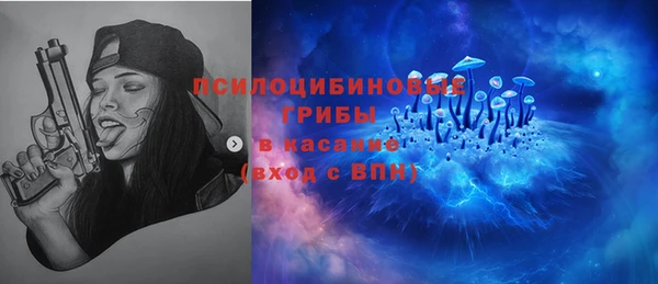 Альфа ПВП Армянск