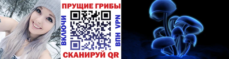 Псилоцибиновые грибы Cubensis  Устюжна 